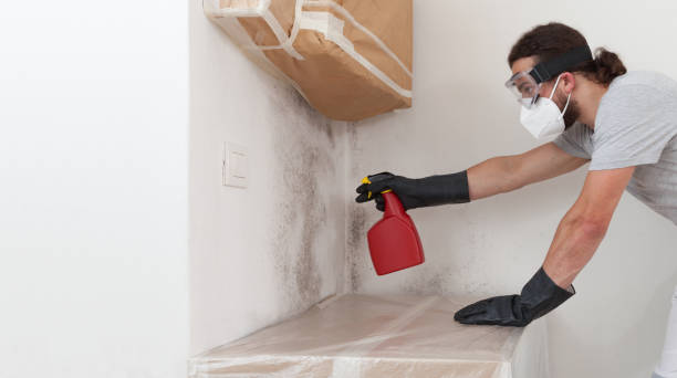 Professional Crawl Space Mold Removal technician working in Melrose, MN